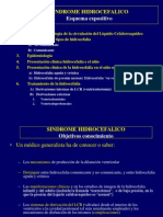 420-2014-02-24-11 Hidrocefalia PDF