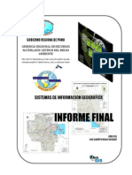 Informe Final Sig 2010 Cuencas Intermedias de Puno