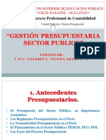 19 Gestion Presupuestaria Sector Publico