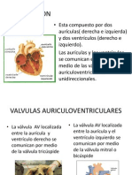 Valvulopatias Pati