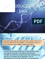 Introduccion Al Dna