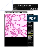 Respiratory Histology