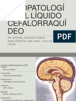 Fisiopatología Del Líquido Cefalorraquídeo