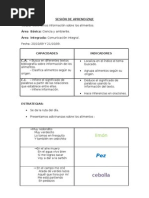 Sesion de Aprendizaje de Los Alimentos