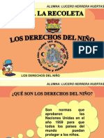 Los Derechos Del Niño