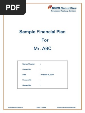 Sample Financial Plan