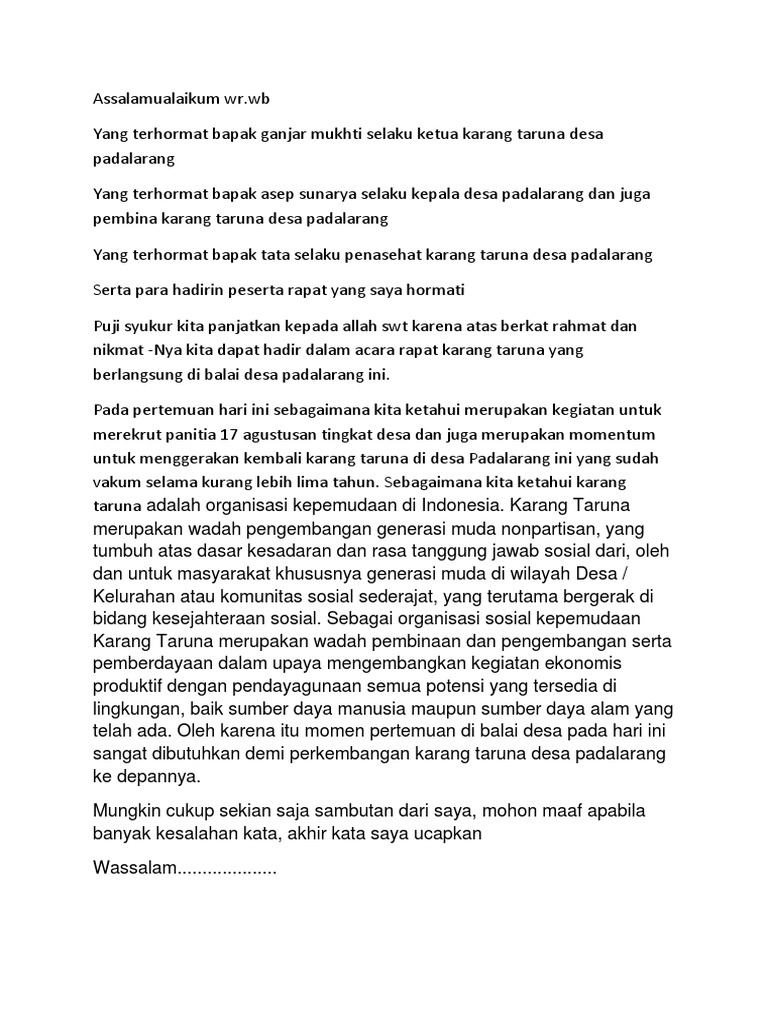 Sambutan Karang Taruna Ketua