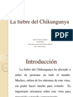 El Chinkungunya Presentacion de Laboratorio