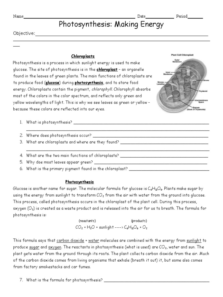 Photosynthesis Worksheet 1 Photosynthesis Cellular Respiration
