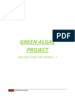 Green Algae Project