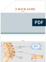 Download Low Back Pain by chandrusai SN24610669 doc pdf