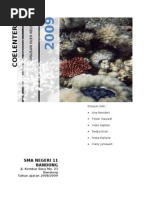 Download coelenterata by anananot SN24611196 doc pdf