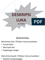 Deskripsi Luka