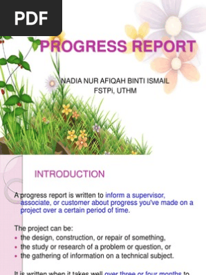 Progress Report