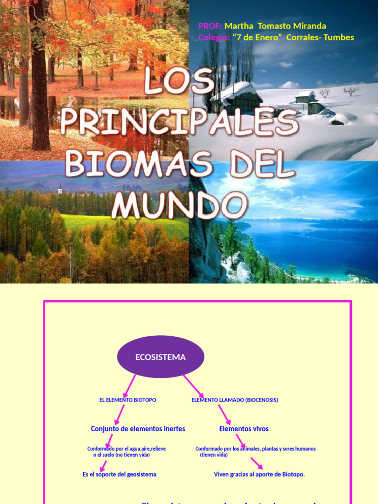 Principales Biomas del Mundo | PDF | Ecosistema | Desierto