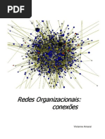 Vivianne Amaral - Redes Organizacionais