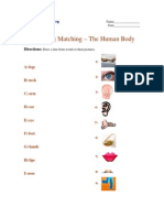 Beginning Matching - The Human Body