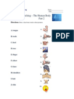 Beginning Matching - The Human Body Part 2