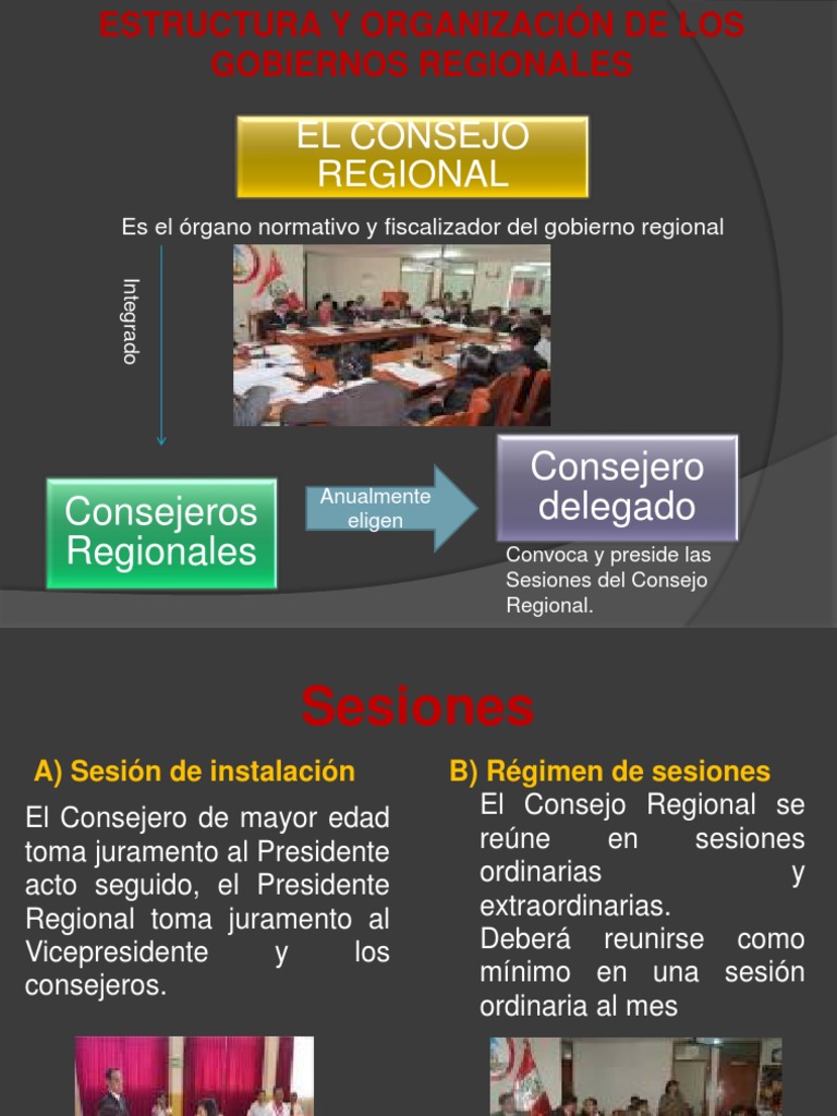 Estructura y Organización de Los Gobiernos Regionales | PDF