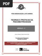 Teorias e Práticas Da Psicomotricidade-módulo 5