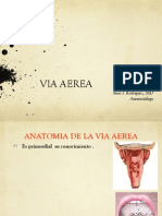 Via Aerea Jr Ucc Edit PDF