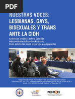 LGTBIQ ante la CIDH