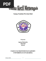 Download UKM Sebagai Ujung Tombak Provinsi Bali by aguendra SN246195485 doc pdf