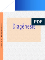 Tema 2 Diagenesis