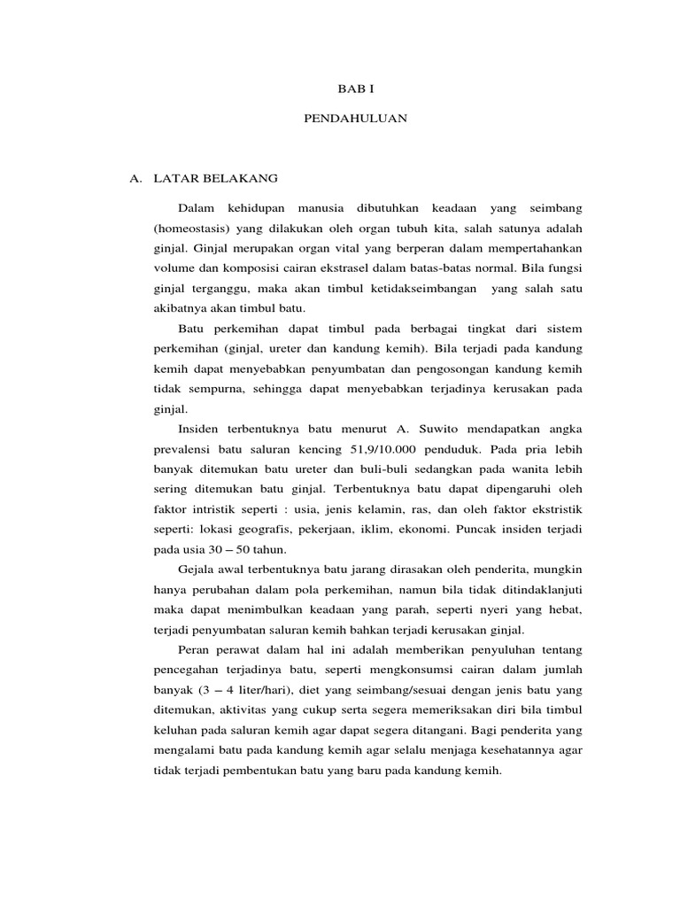 Askep Batu Saluran Kemih Pdf