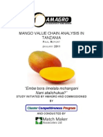 Mango_VCA_Final_January_2011.pdf