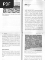 Download Macro Algae by katam_ganeshbab329 SN246203668 doc pdf