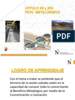 14º Clase - Beneficio Metalúrgico PDF