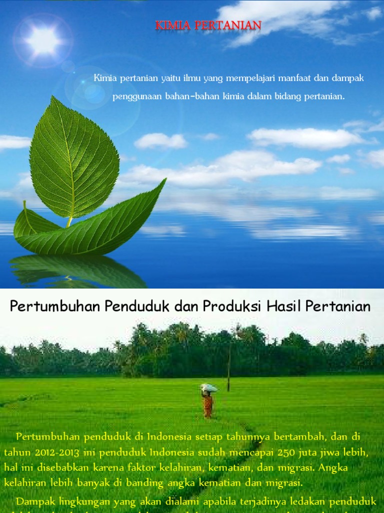 Kimia Pertanian Pdf