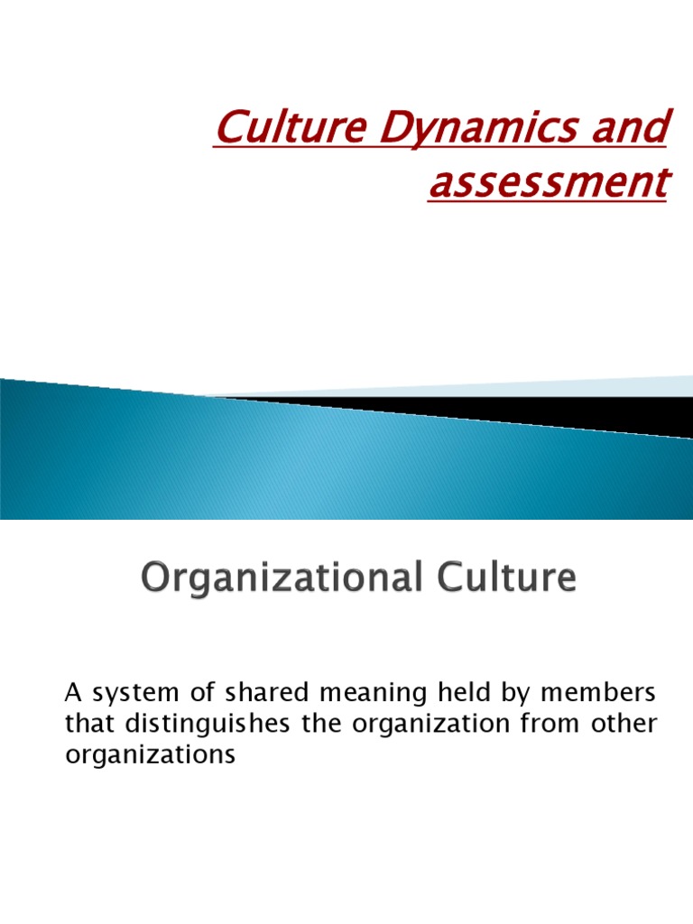 Understanding Organizational Culture Dynamics | PDF | Organizational ...