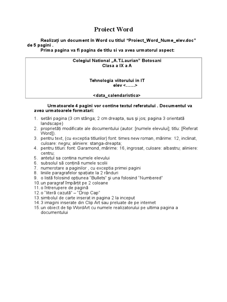 Proiect Word | PDF