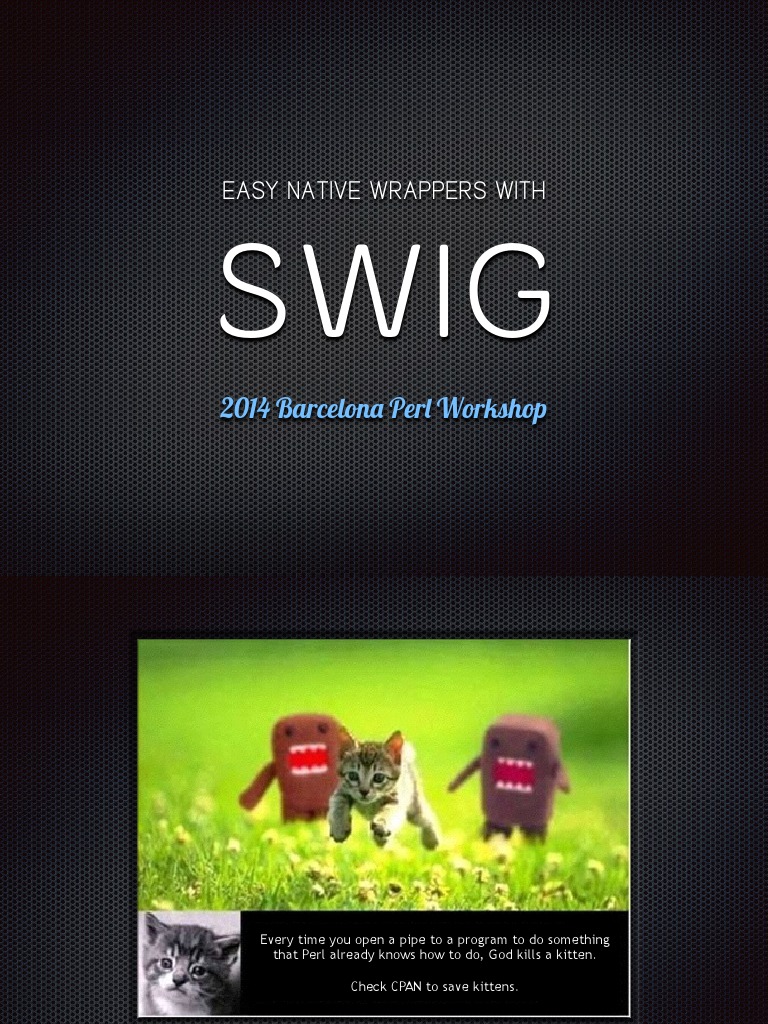 Easy Native Wrappers With SWIG | PDF | Perl | Cross Platform Software