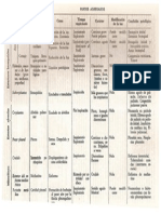 Semiologia Respiratorio Ruidos