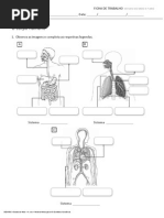 fichas_trabalho_1a10 (1)