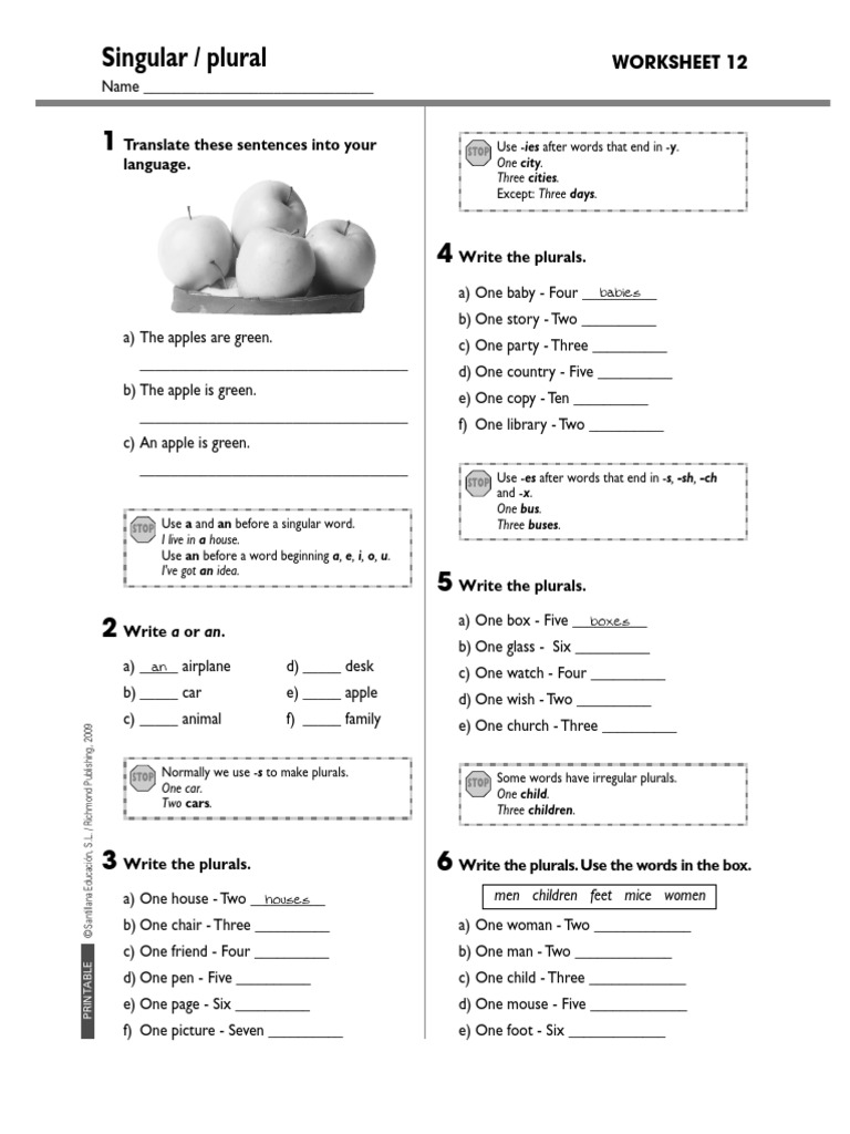 Worksheets 1 12 | PDF