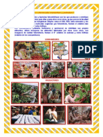 Cuál Es La Relación Entre Consumidores y Productores. Agentes Econmonicos. Funcion Del Estado. Economia