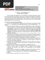 Documento Nº2 Etapa Intermedia