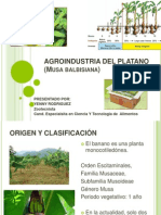 Agroindustria Del Platano