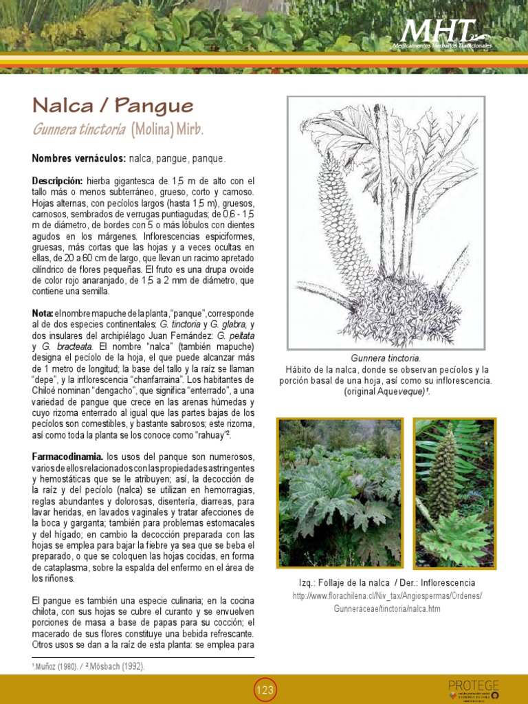 Propiedades y usos de la nalca | PDF