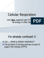 notes what is cellular respiration