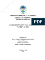 Esquema e Instructivo Proyecto Tesis PDF