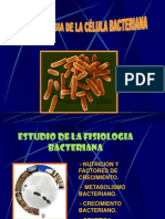 Nutricion Metabolica bacteriana