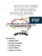 Informe De Aislamiento y selecciòn de cepas fermentadoras de trigo