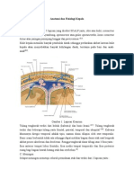 95247150 Anatomi Dan Fisiologi Kepala