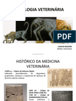 1 - Radiologia em Medicina Veterinária PDF