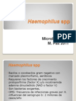 C 15 Haemophilus